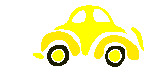 bug_car_t.gif (8004 bytes)